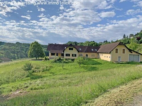 Feldbach hal house,flat for horselovers, Austria, Steiermark for sale 