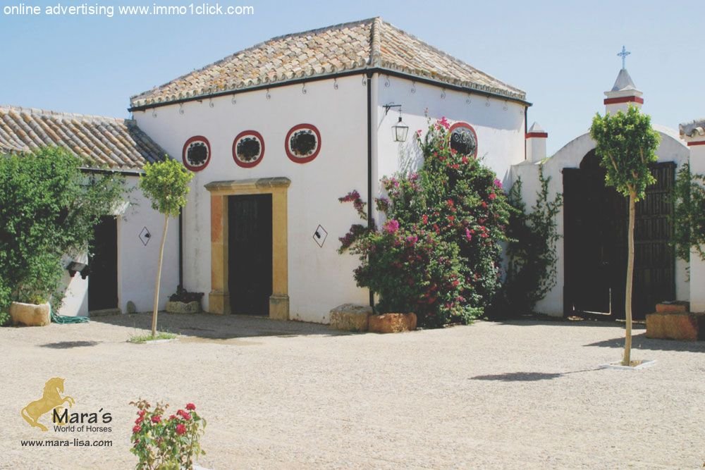 Finca, Cortijo, Andalusien, Sevilla zu verkaufen