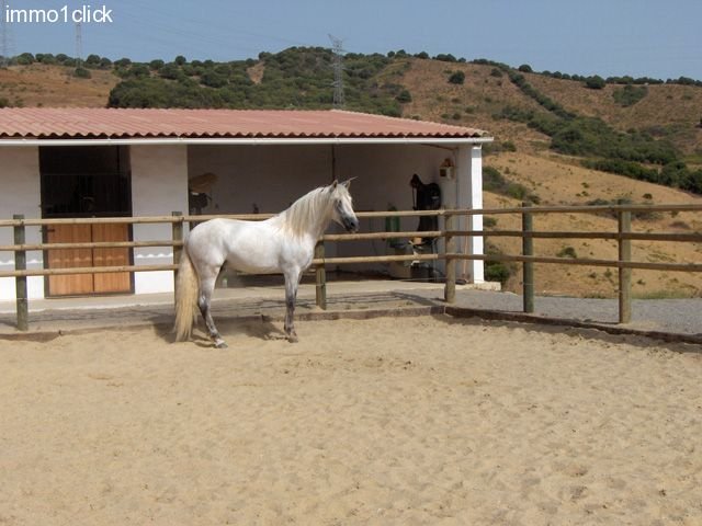 Luxus-Finca, Landhaus mit Pferdestall, Sotogrande, Costa del Sol, Andalusien, zu verkaufen 