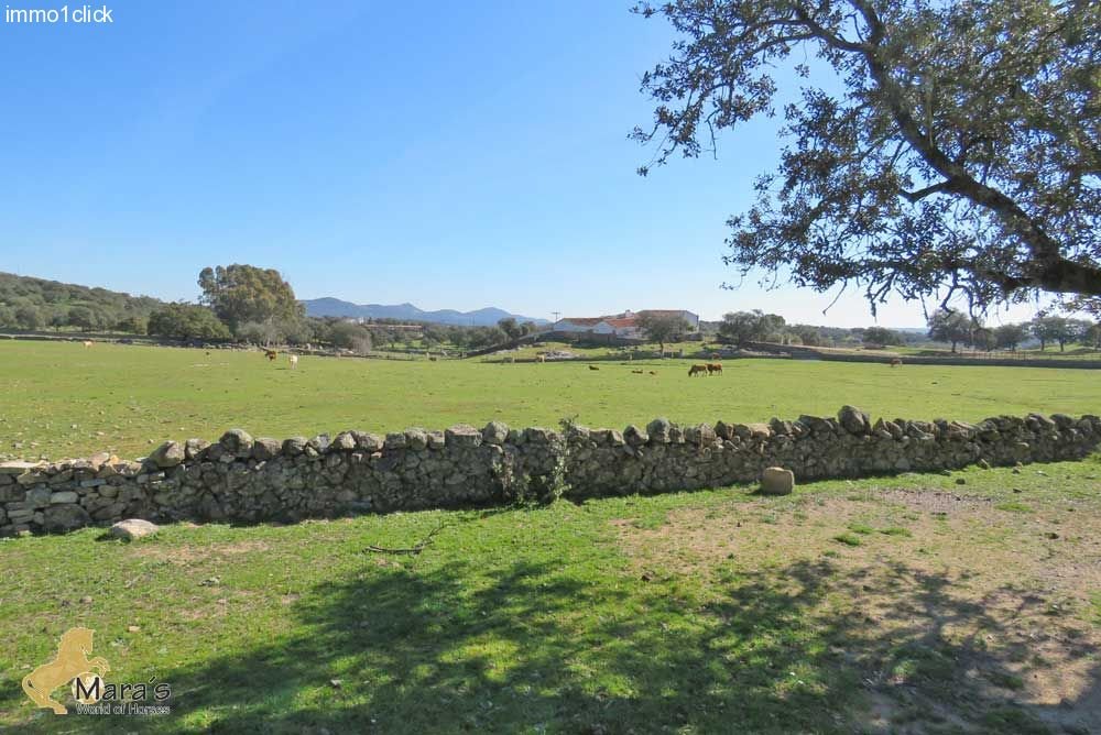 Finca, Dehesa mit Korkeichen, Andalusien, Sevilla, Huelva zu verkaufen