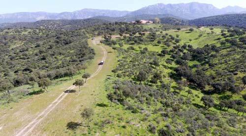 Andujar: Andalusia, province Jaen, Andujar - large hunting estate for sale Andujar: Andalusia, province Jaen, Andujar - large hunting estate for sale