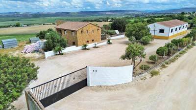Arcos de la Frontera: Spain, Andalusia, Arcos de la Frontera, finca, countryproperty with house, stables and riding arena Arcos de la Frontera: Spain, Andalusia, Arcos de la Frontera, finca, countryproperty with house, stables and riding arena