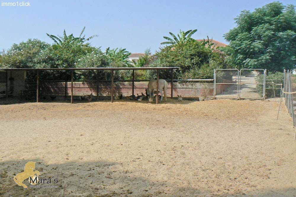 house with pool, horseboxes, Andalusia, Sevilla, near Coto Donana for sale