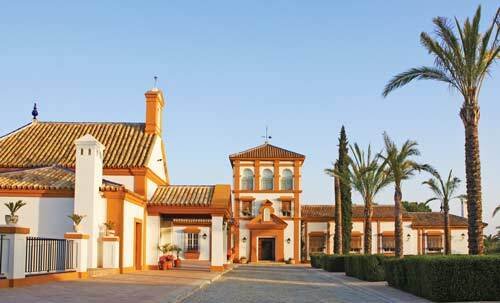2454 spain, andalusia, seville, luxury country estate, finca, cortijo, hacienda for sale