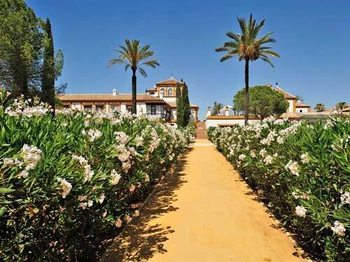 2454 spain, andalusia, seville, luxury country estate, finca, cortijo, hacienda for sale