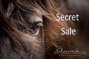 2519KR germany, north, schleswig holstein, horse property for sale