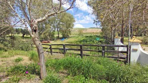 2520 spain, andalusia, cadiz, villamartin, countryproperty, cortijo for sale