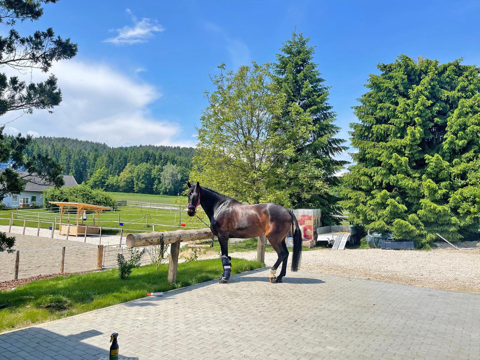 2522HC austria, carinthia, völkermarkt, country house with horse stable for sale