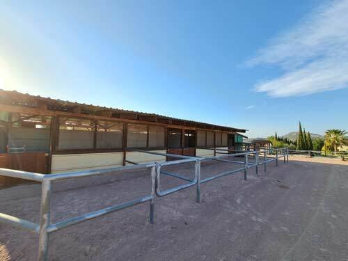 2523SS spain, alicante, monovar, guest ranch, finca for sale