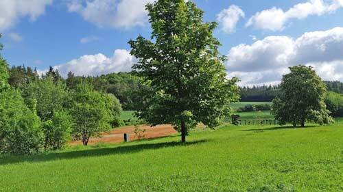 2529 Germany, Bavaria, Upper Franconia, Franconian Switzerland, house with stable for sale