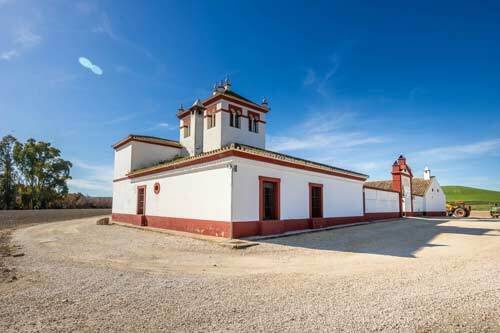 2525FS spain, andalucia, sevilla, countryproperty, countryestate for sale