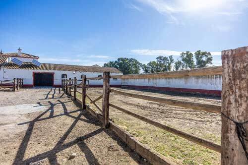 2525FS spain, andalucia, sevilla, countryproperty, countryestate for sale