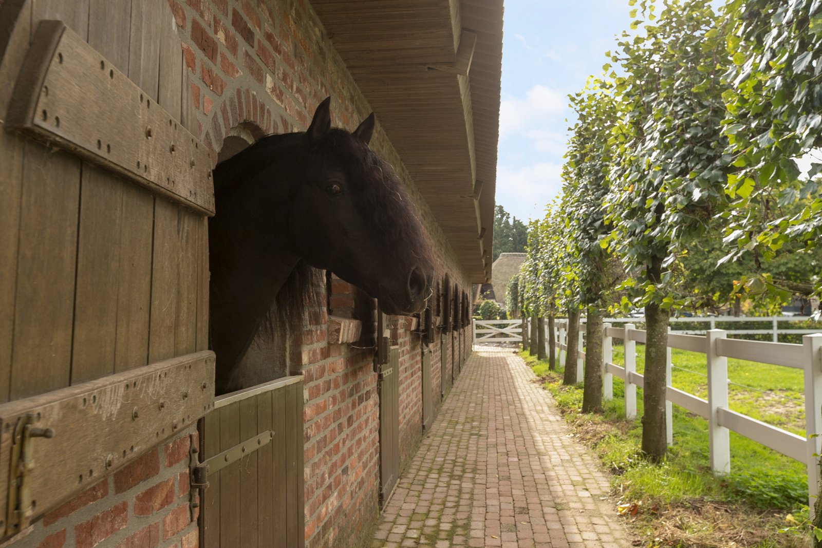 2323 Netherlands, Ven-Zelderheide - exclusive equestrian property for sale