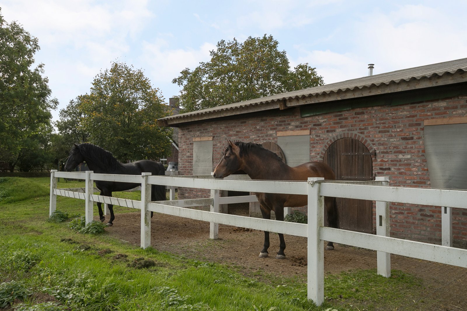 2323 Netherlands, Ven-Zelderheide - exclusive equestrian property for sale