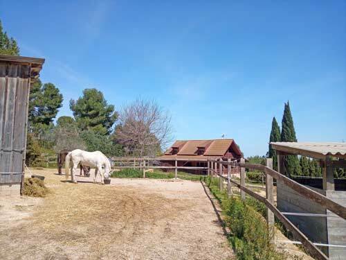 2531 Spain, Valencia, Montserrat, finca, house with horse stable for sale