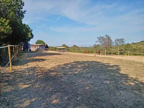 2531 Spain, Valencia, Montserrat, finca, house with horse stable for sale
