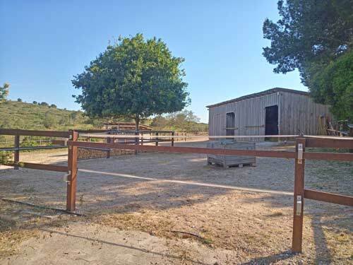 2531 Spain, Valencia, Montserrat, finca, house with horse stable for sale