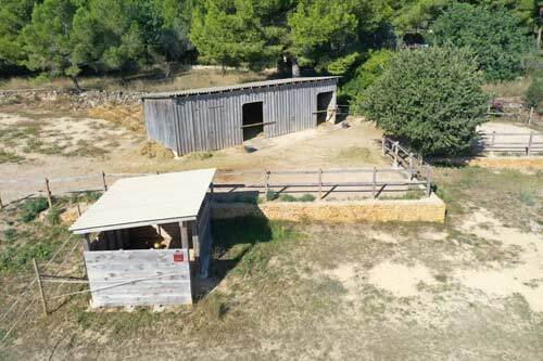 2531 Spain, Valencia, Montserrat, finca, house with horse stable for sale