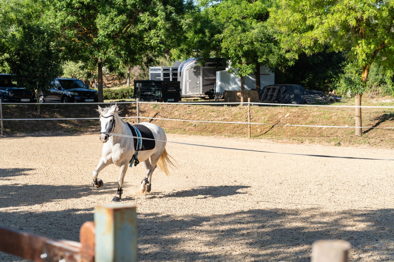 2527 andalucia, ronda, horse, riding stable, finca for sale