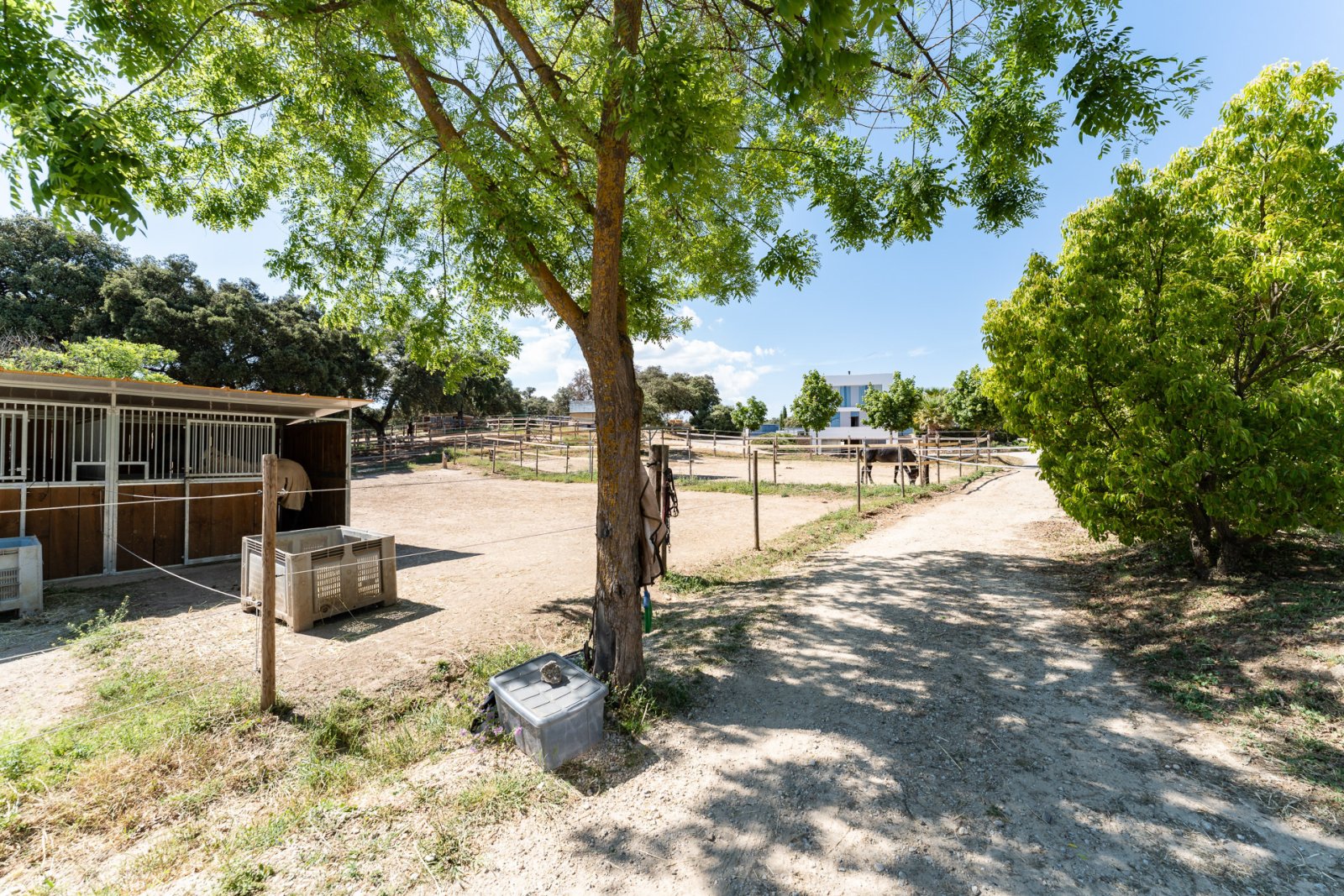 2527 andalucia, ronda, horse, riding stable, finca for sale