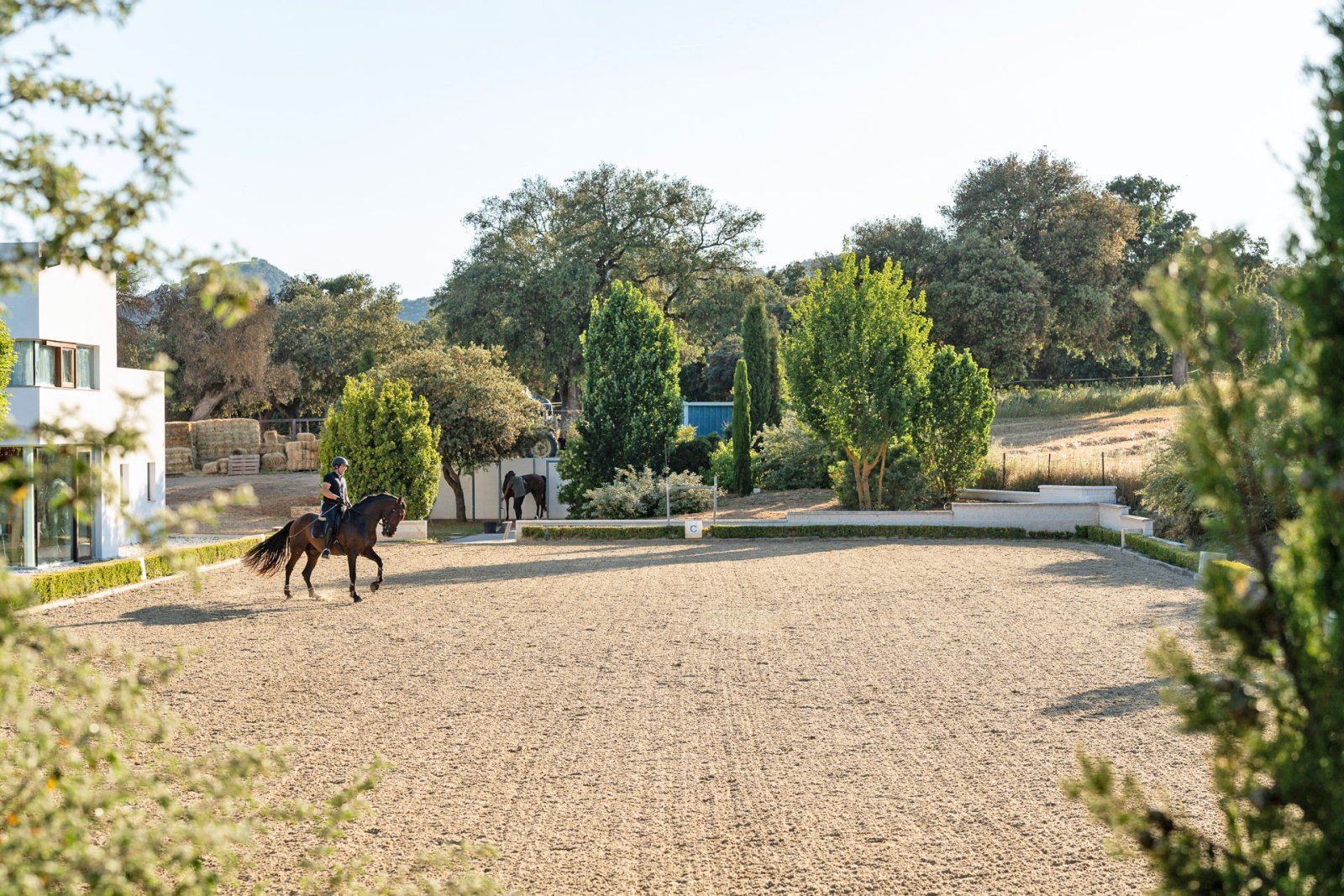 2527 andalucia, ronda, horse, riding stable, finca for sale