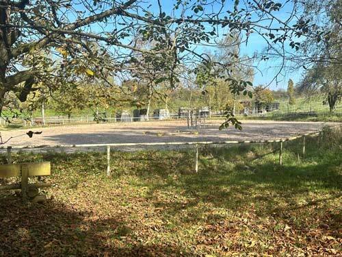 2530 germany, Baden-Württemberg, Heilbronn, riding facility, horse stable for sale