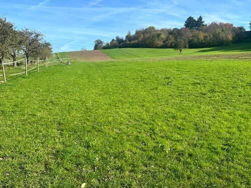 2530 germany, Baden-Württemberg, Heilbronn, riding facility, horse stable for sale