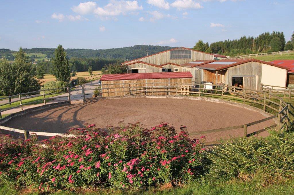 2538MP France, Vosges, Epinal, stud farm, equestrian center for sale