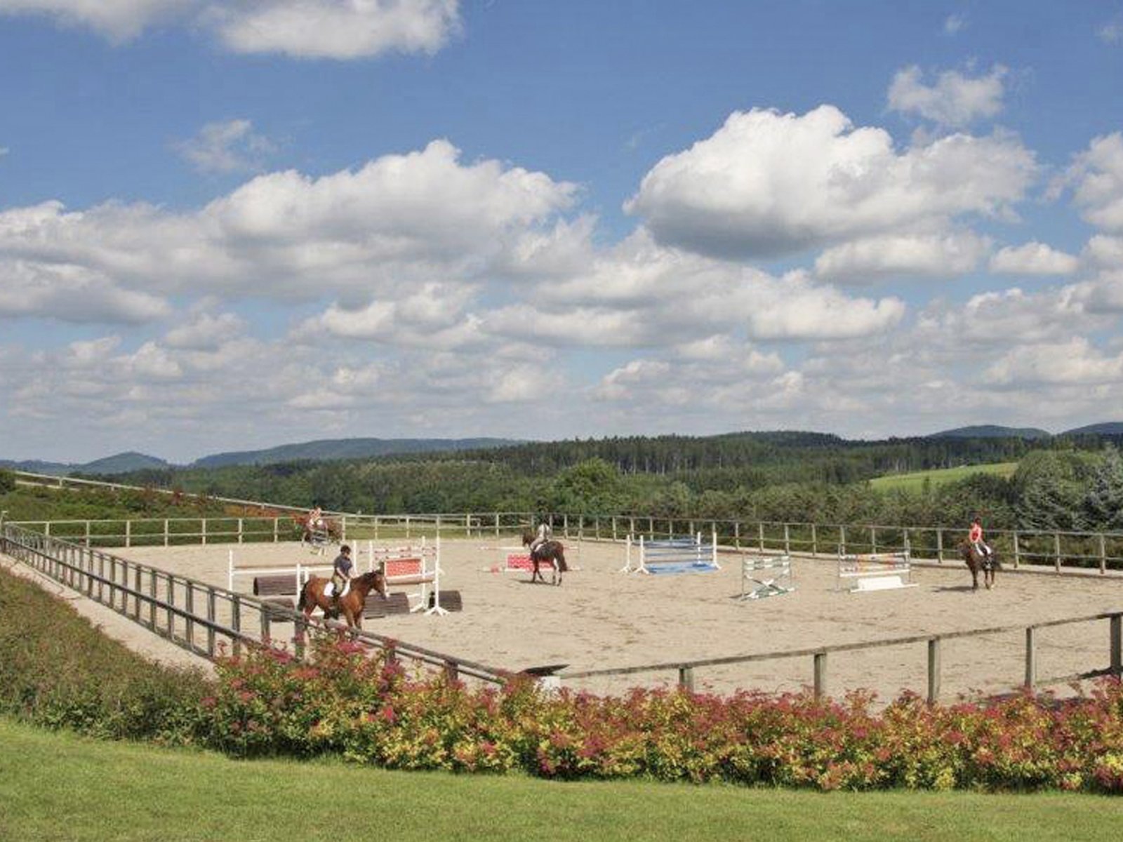 2538MP France, Vosges, Epinal, stud farm, equestrian center for sale