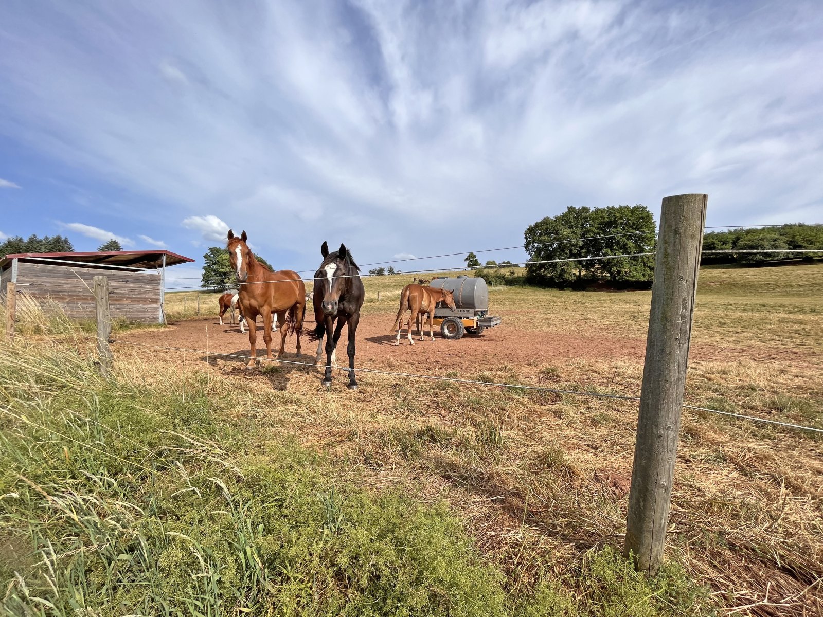 2538MP France, Vosges, Epinal, stud farm, equestrian center for sale