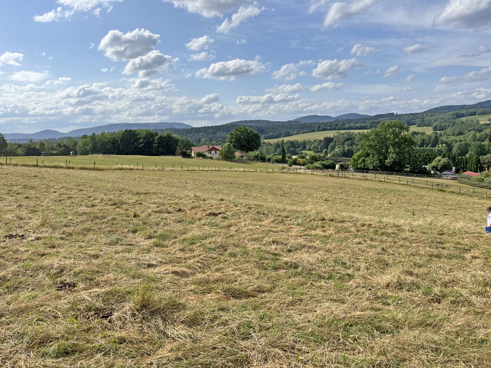 2538MP France, Vosges, Epinal, stud farm, equestrian center for sale