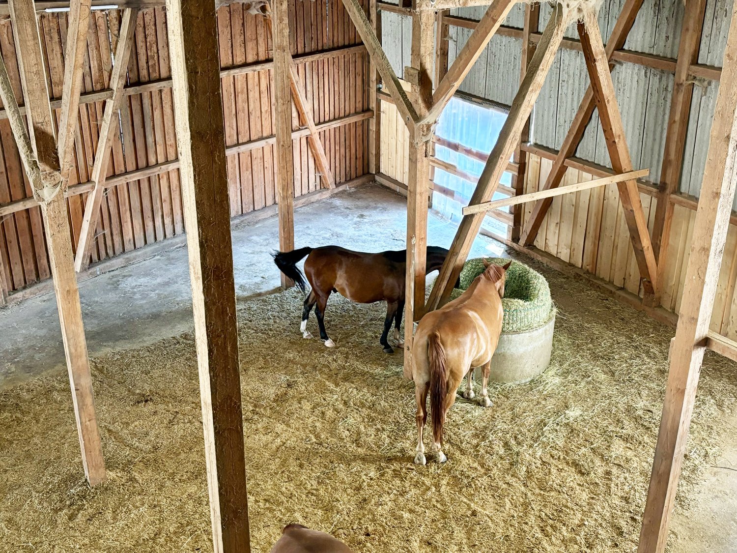 Germany, 2539 Hessen, Vogelsbergkreis, Schlitz, house with horse stable and riding arena for sale
