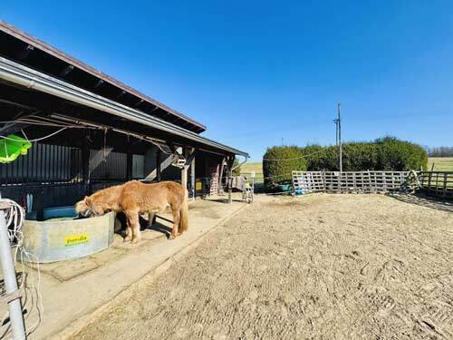 2542MK Rhineland-Palatinate, Westerwald, Bellingen, house, stable, riding arena, for sale