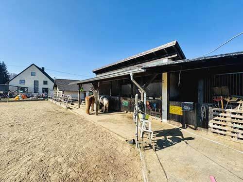 2542MK Rhineland-Palatinate, Westerwald, Bellingen, house, stable, riding arena, for sale