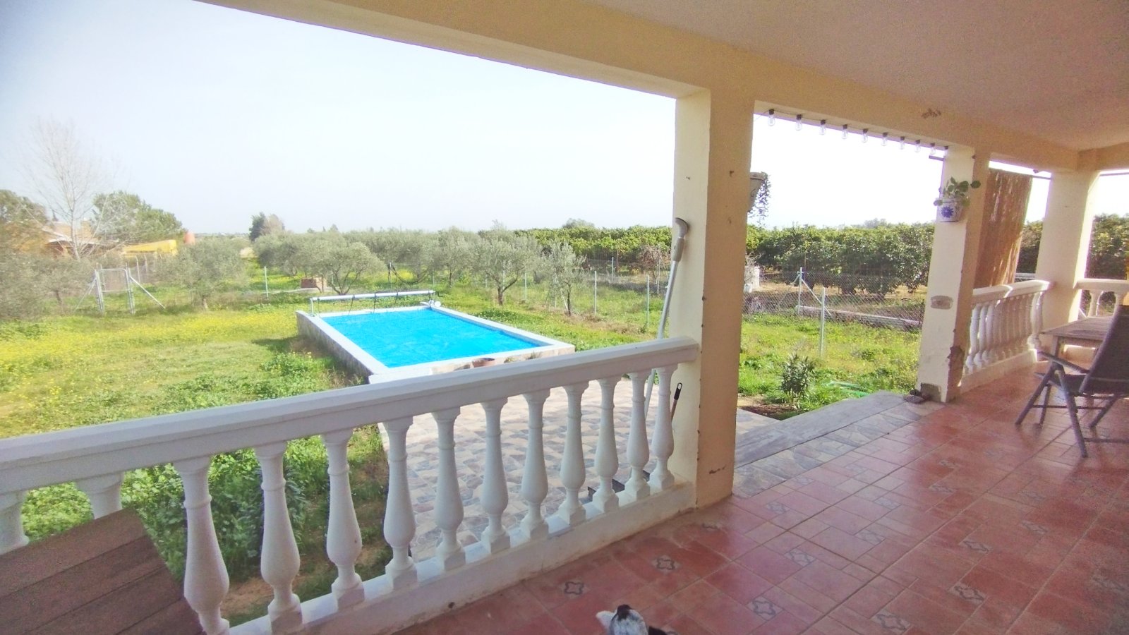 2405 Andalusia, Huelva, La Palma del Condado, house finca with pool for sale