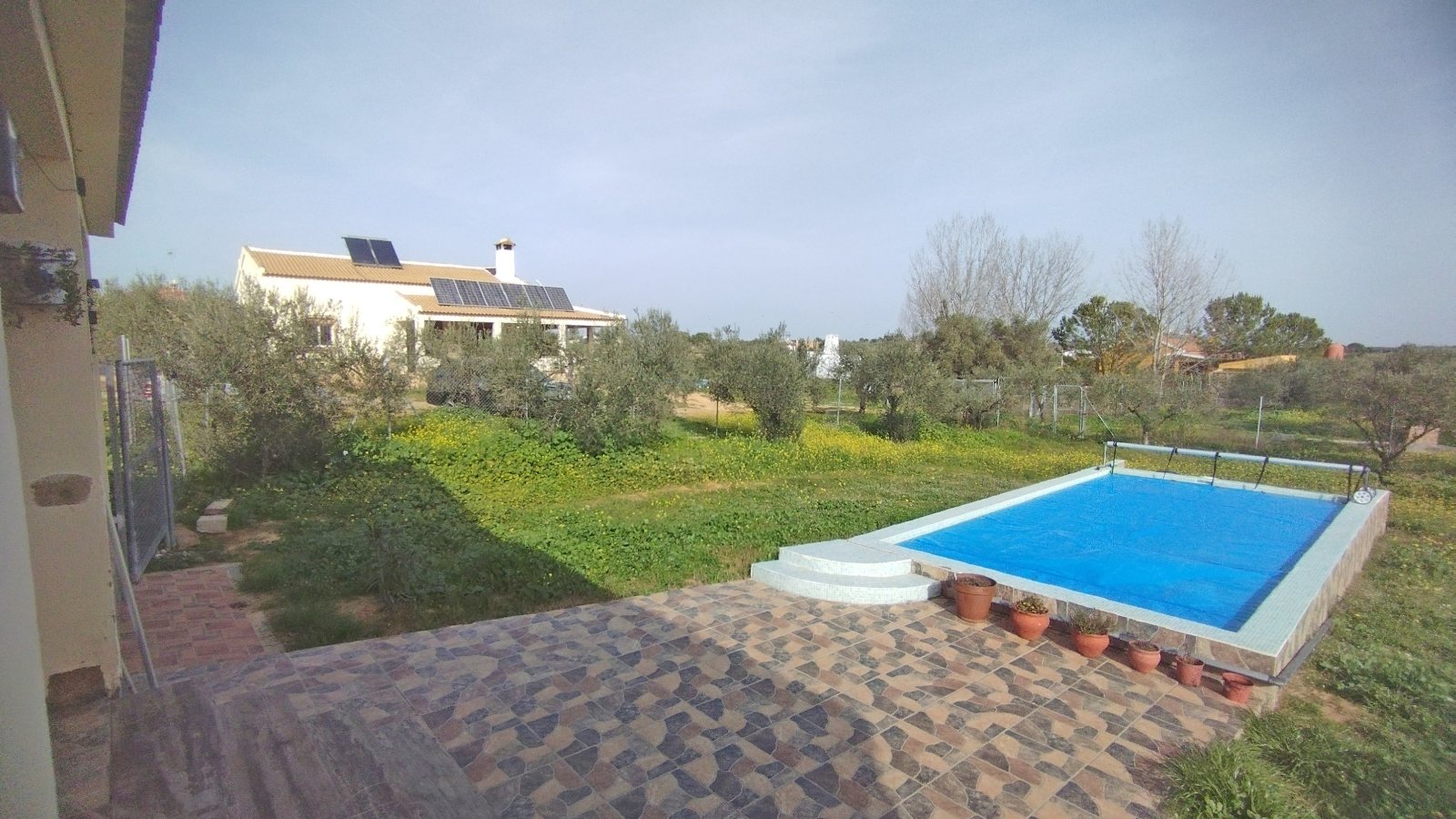 2405 Andalusia, Huelva, La Palma del Condado, house finca with pool for sale