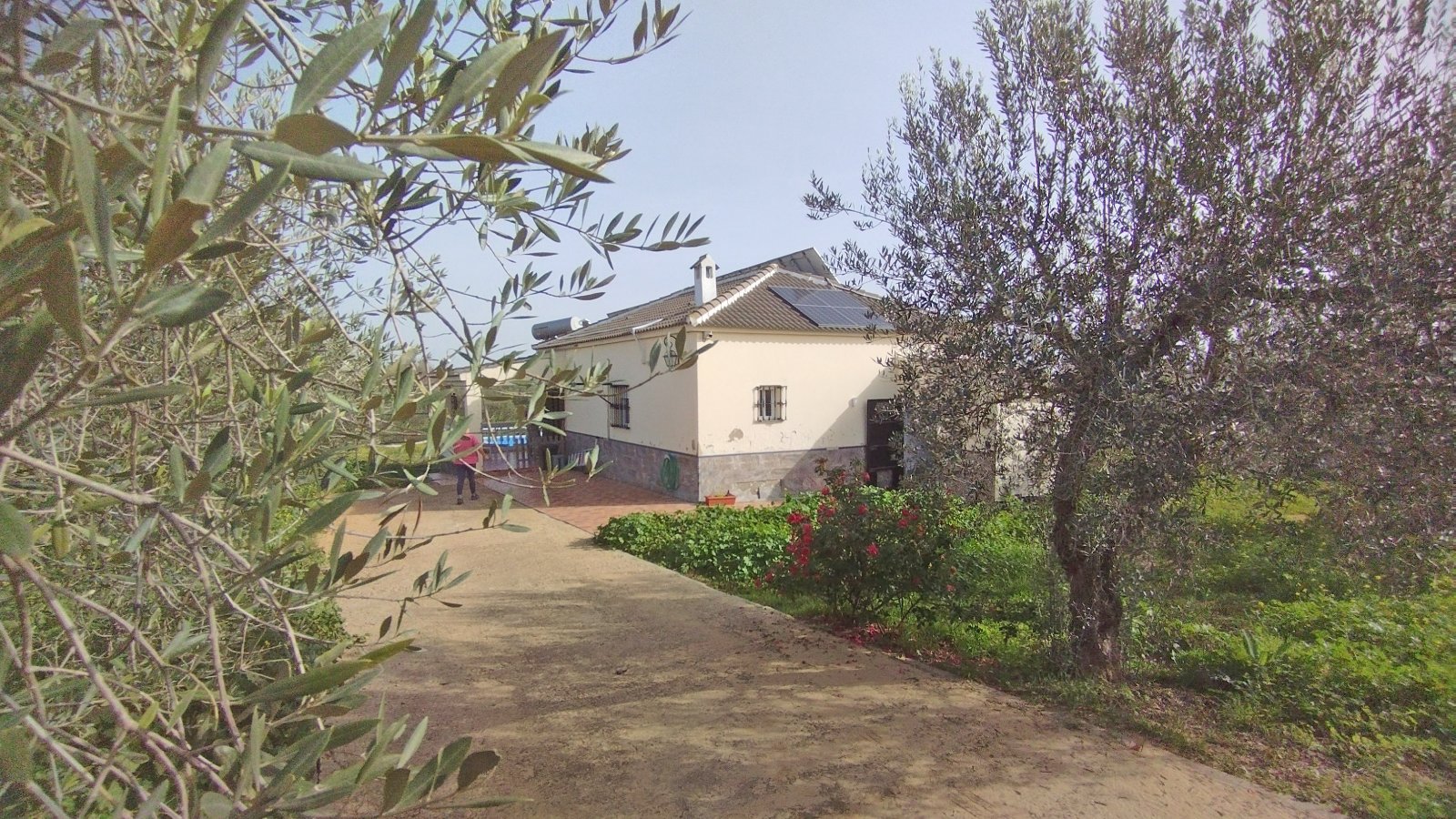 2405 Andalusia, Huelva, La Palma del Condado, house finca with pool for sale