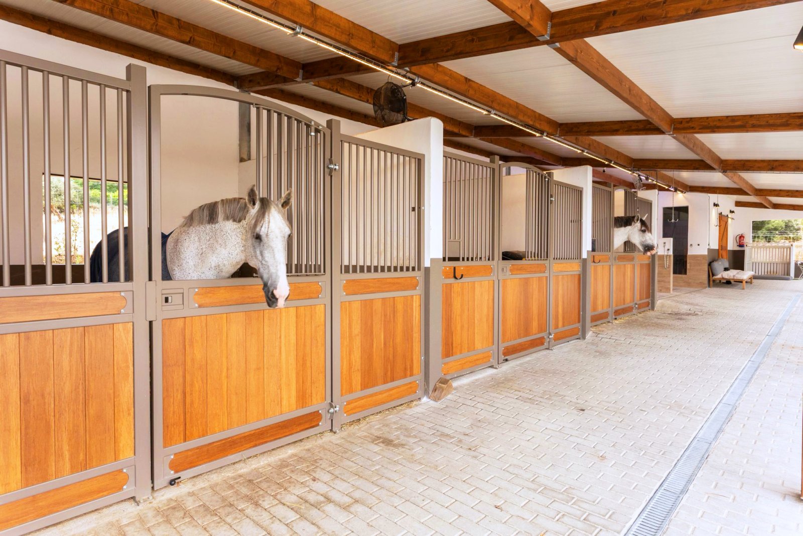 2546 Portugal, Alentejo, Arraiolos, luxury finca with horse stable