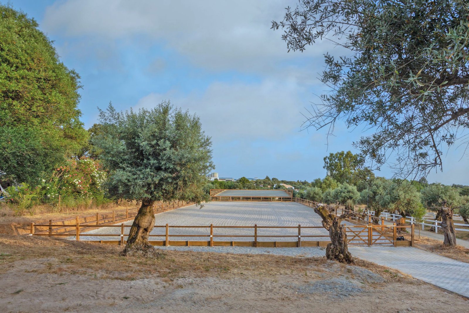 2546 Portugal, Alentejo, Arraiolos, luxury finca with horse stable