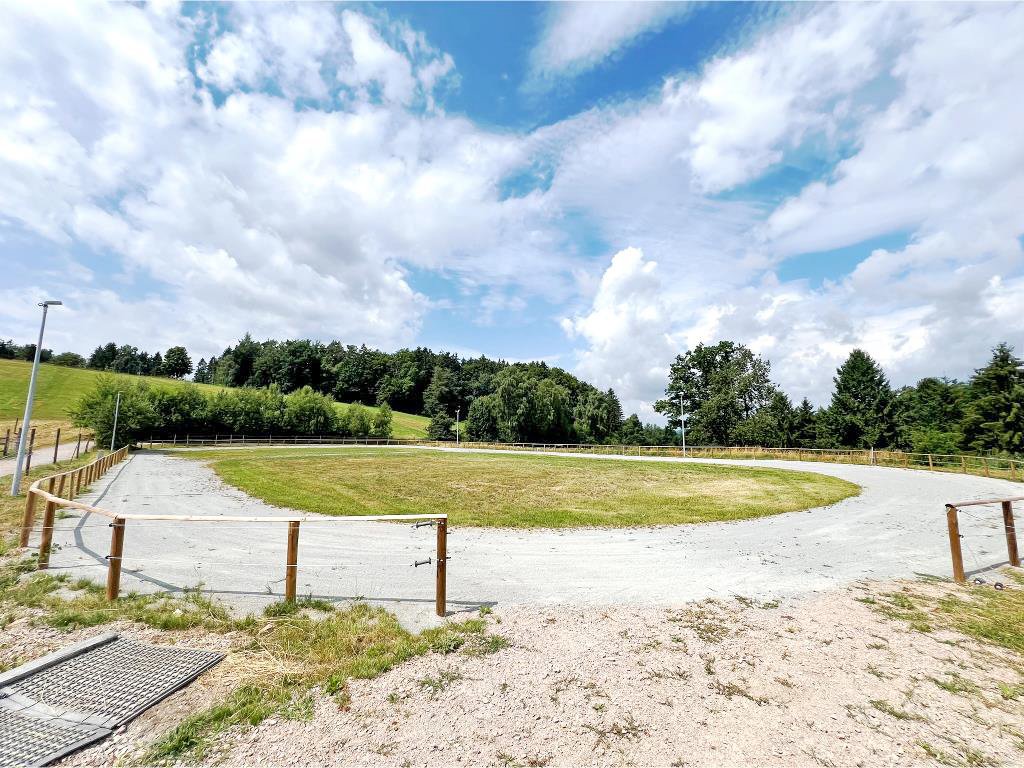 2545IZ Bavaria, Upper Palatinate, 35 min Regensburg - large house with horse stables, riding arena, riding arena