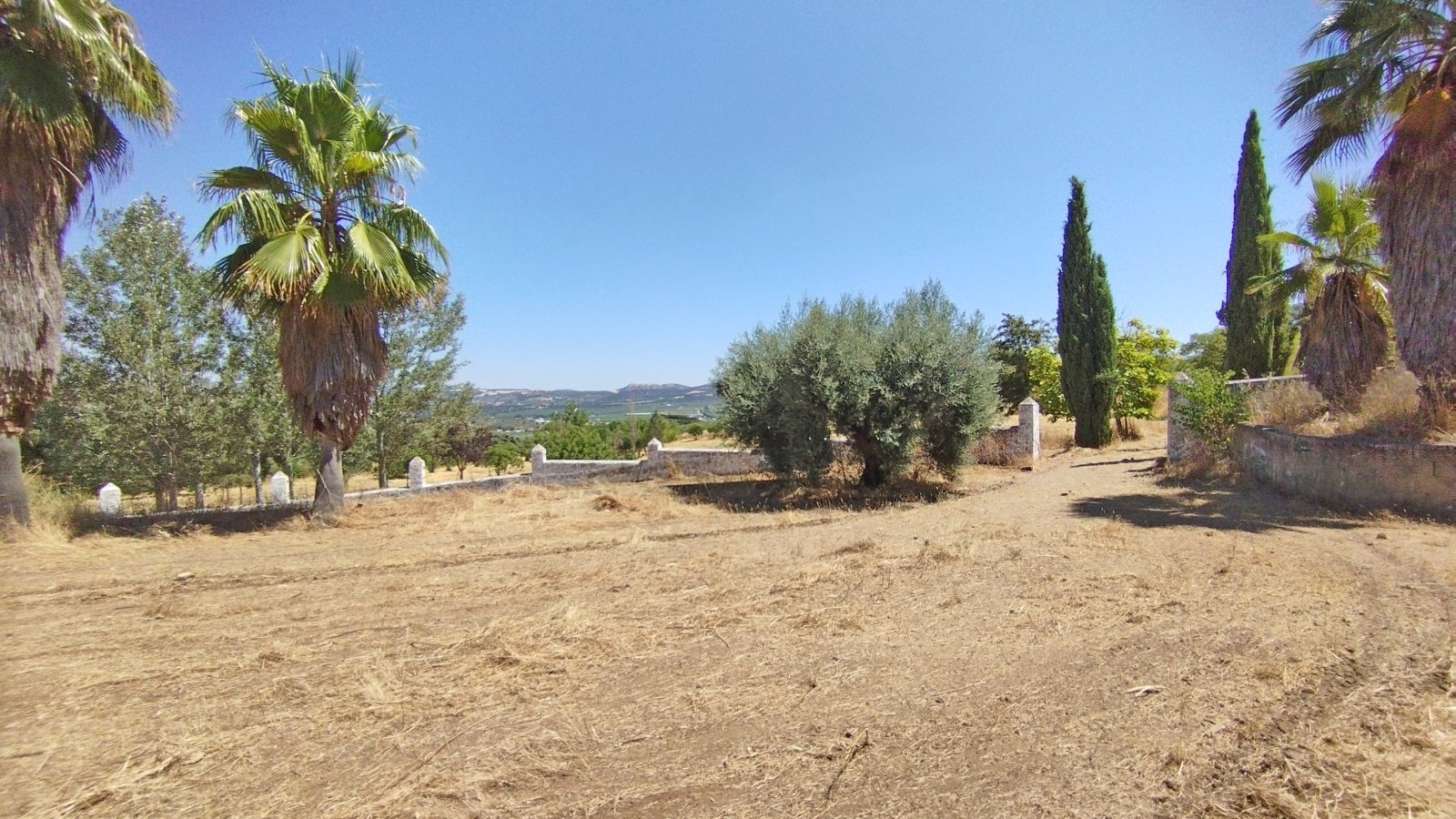 2547JR Spain, Andalusia, Cadiz, Setenil, finca, cortijo for sale