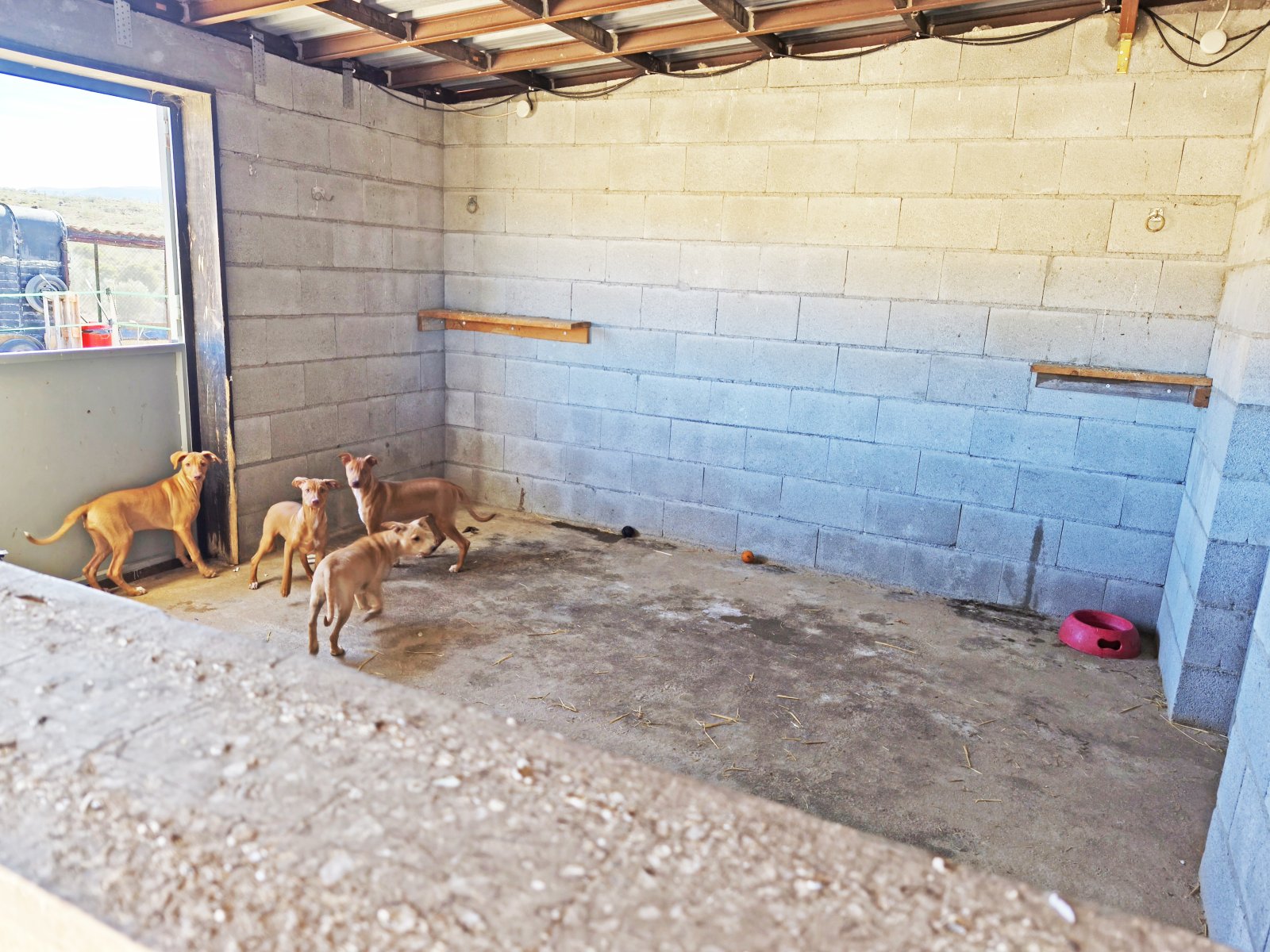 2552 Spain, Andalusia, Almeria, Seron, Finca, Pool, Horse stable for sale 2552 Spain, Andalusia, Almeria, Seron, Finca, Pool, Horse stable for sale