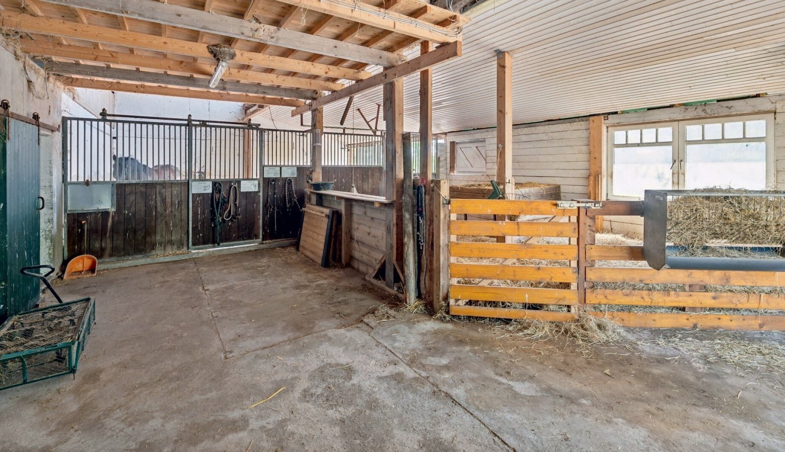 2554 Schleswig-Holstein, Plön, Baltic Sea, Selenter See, house, horse stable for sale