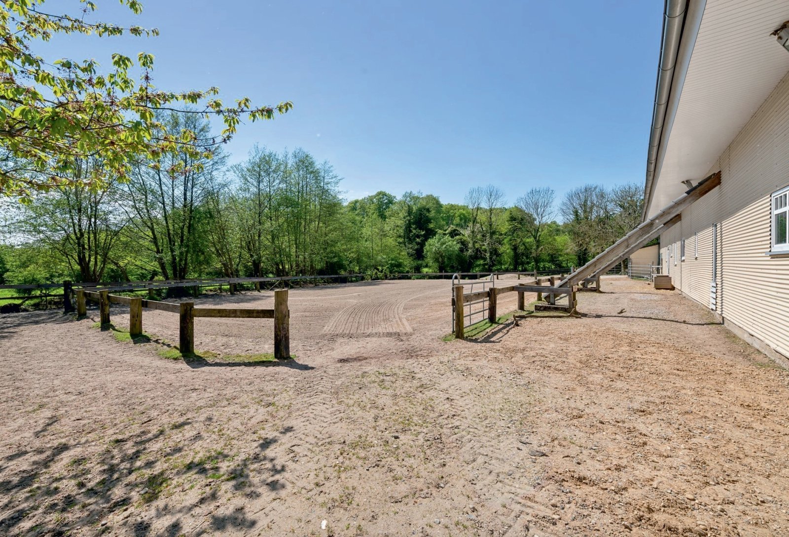 2554 Schleswig-Holstein, Plön, Baltic Sea, Selenter See, house, horse stable for sale