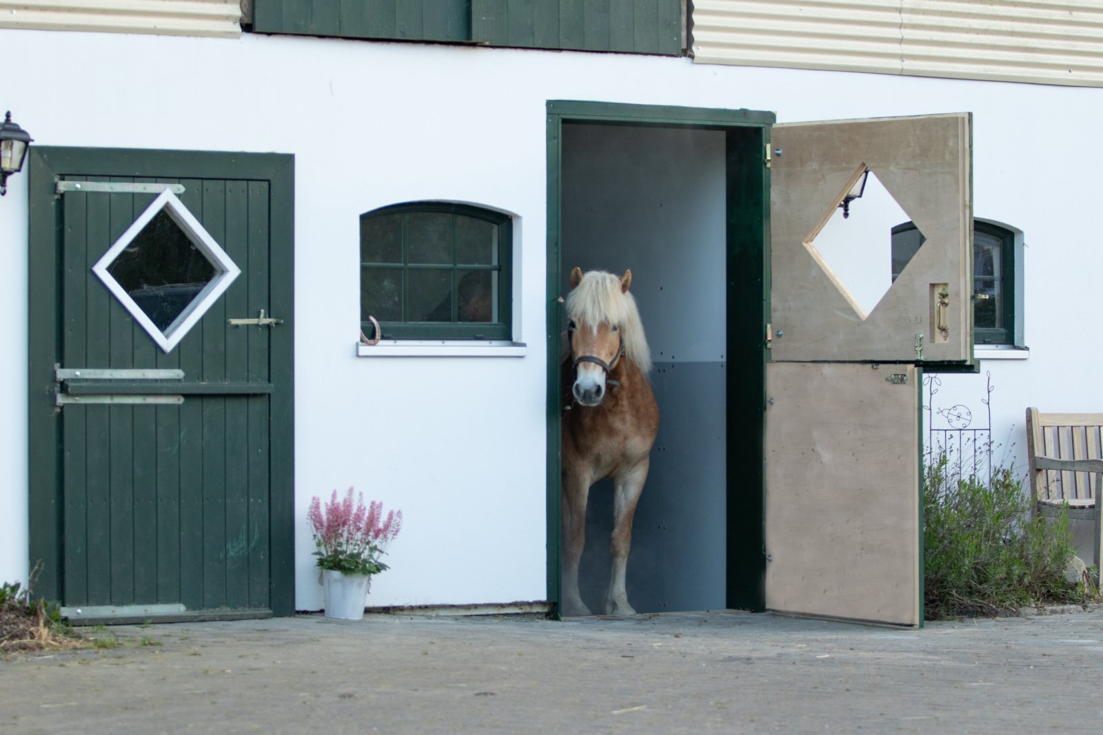 2554 Schleswig-Holstein, Plön, Baltic Sea, Selenter See, house, horse stable for sale