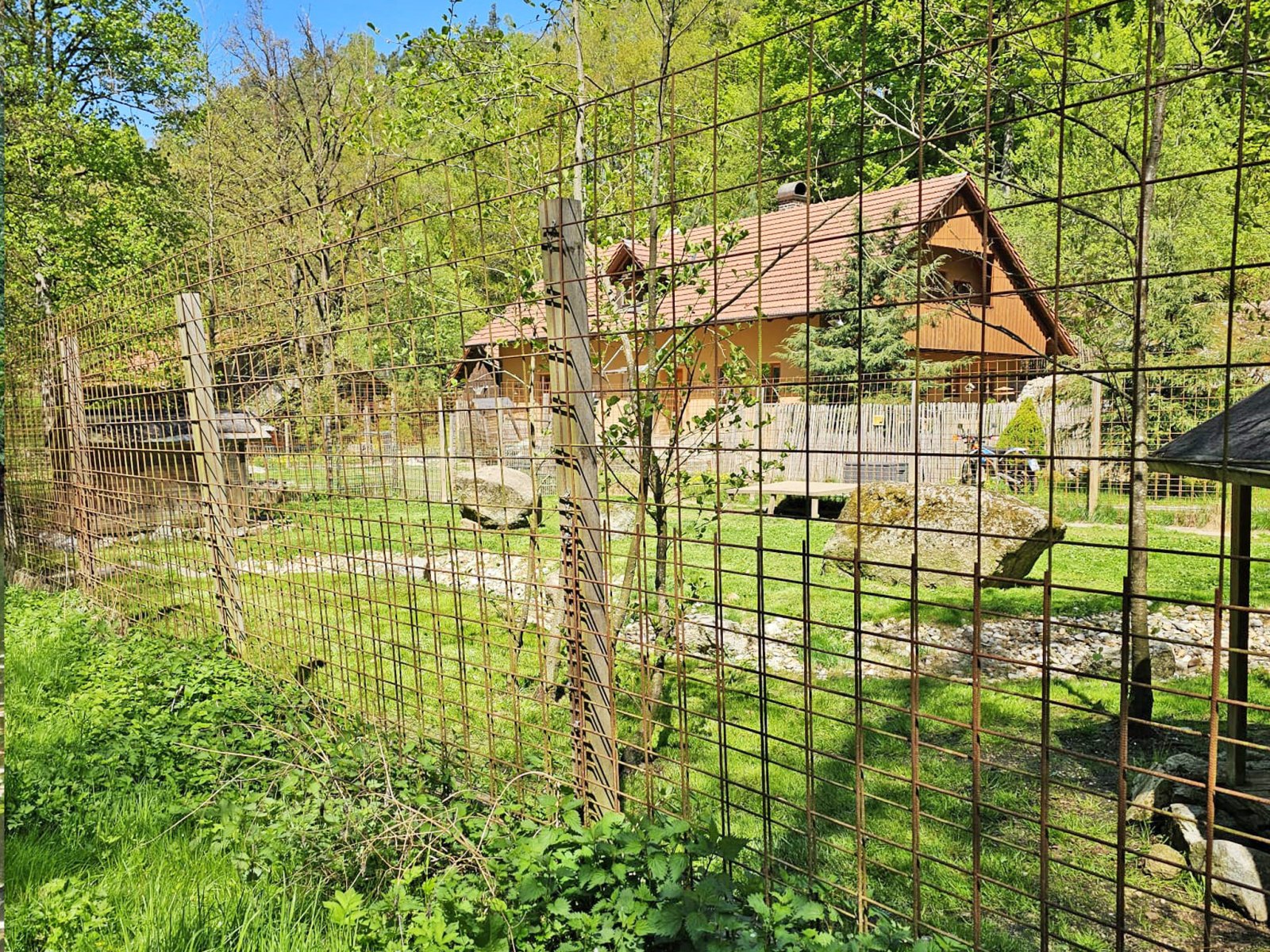 2549 Bavaria, Upper Palatinate, Cham district, Zell, house with stream, swimming pond, open stable for sale