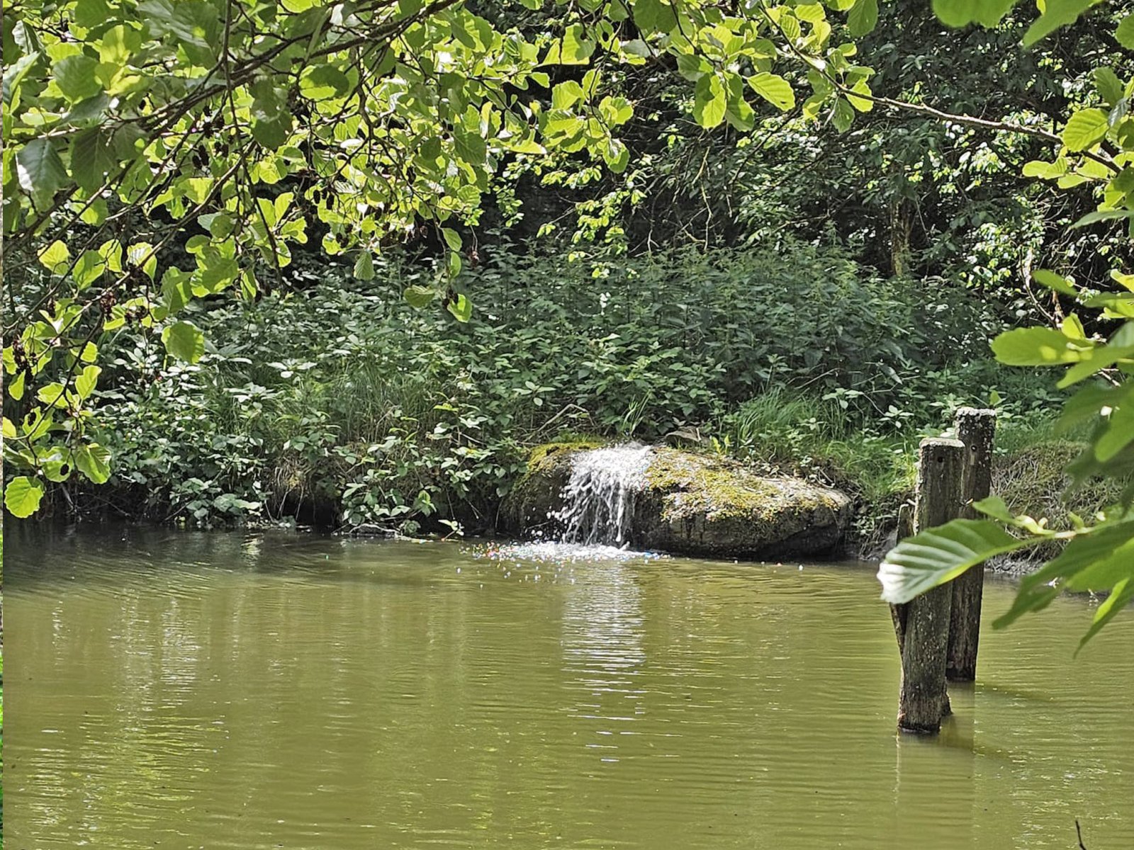 2549 Bavaria, Upper Palatinate, Cham district, Zell, house with stream, swimming pond, open stable for sale