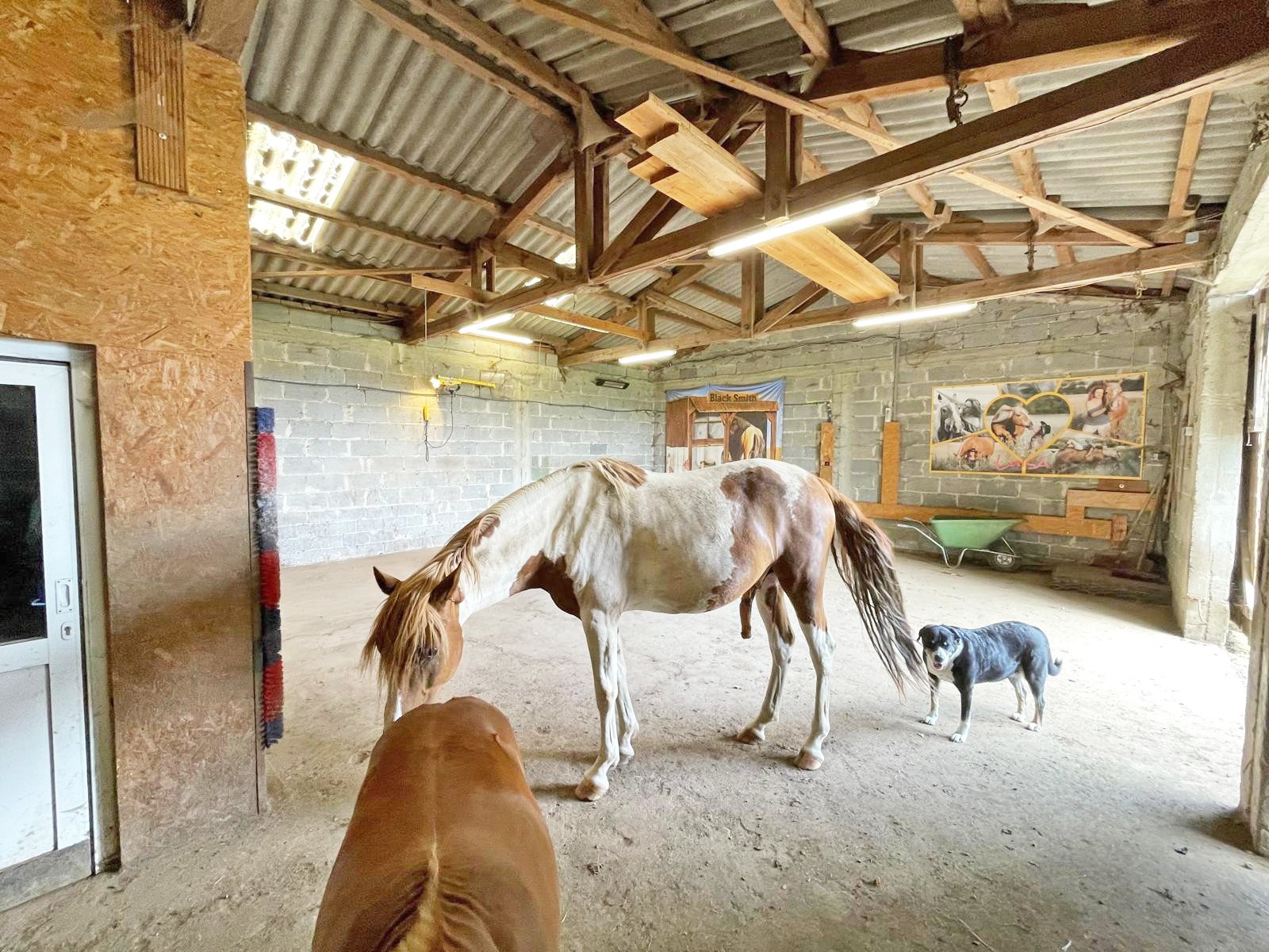 2601 Germany, East Hesse, Fulda district, 36154 Hosenfeld, large house with granny flat + horse stable for sale