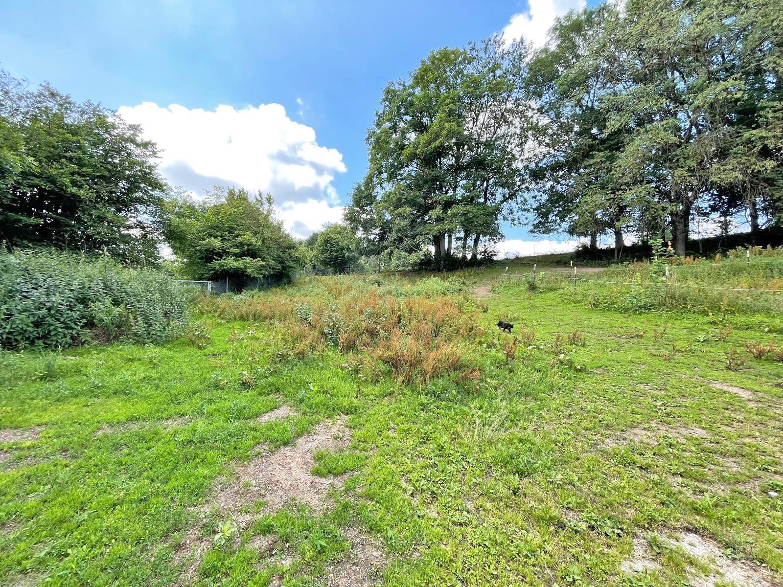 2601 Germany, East Hesse, Fulda district, 36154 Hosenfeld, large house with granny flat + horse stable for sale