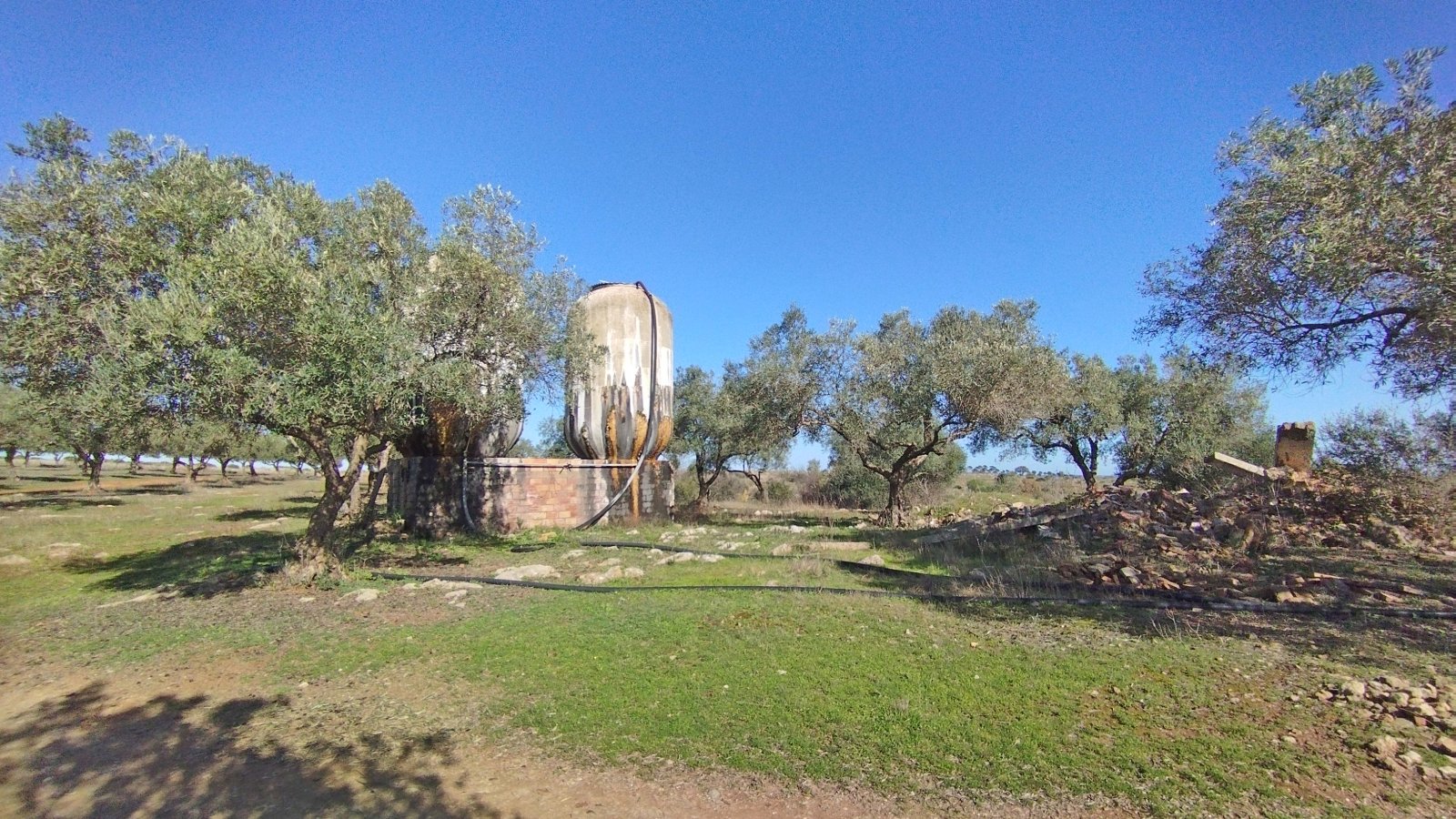 2602 Andalusia, Huelva, Villarossa, finca, guestapartment, pool, stable, for sale